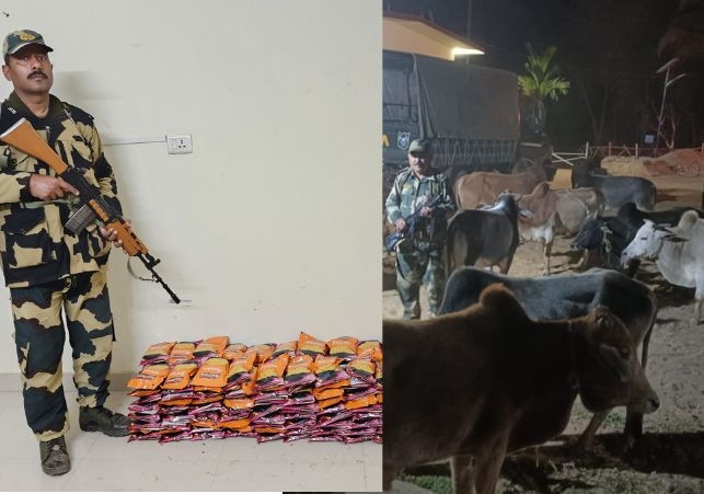 BSF Meghalaya