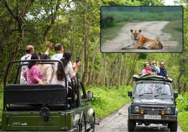 Kaziranga Ranks 3rd in most visted national Park