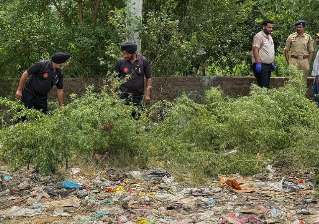 Khalsa terrorist killed in blast in Amritsar