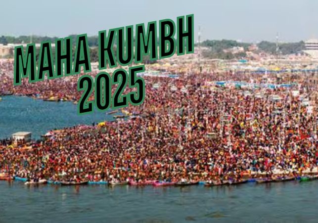 Maha Kumbh devotees and revenue