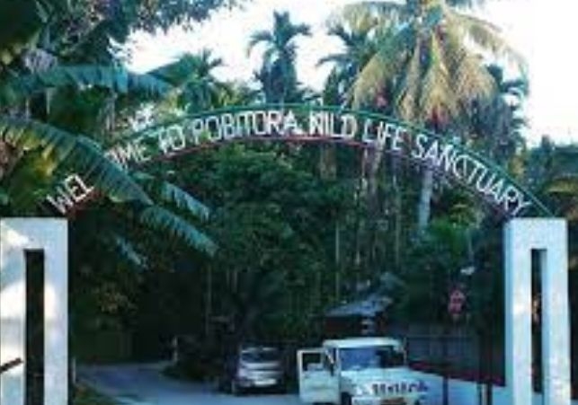 Pobitora Wildlife Sanctuary reopen