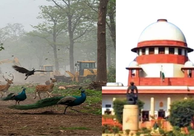 SC criticizes Telangana government 