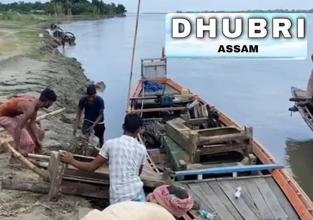 Wood Smuggling Busted